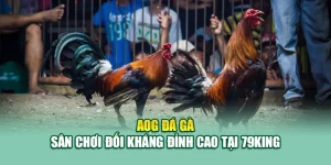 AOG Đá Gà – Sân Chơi Đối Kháng Đỉnh Cao Tại 79King
