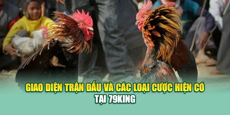 Giao diện trận đấu và các loại cược hiện có tại 79King